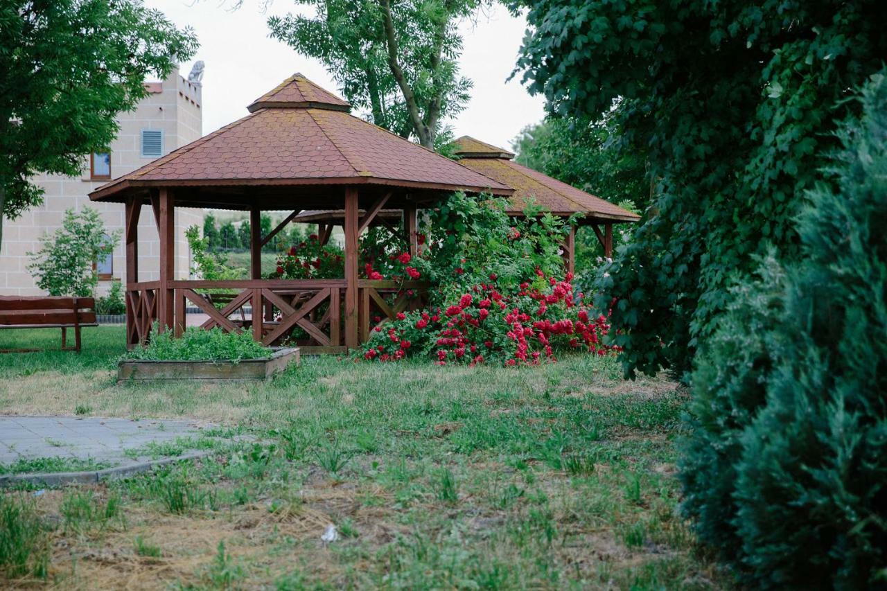 Palac Koronny Noclegi & Wypoczynek Wodzisław Exteriér fotografie